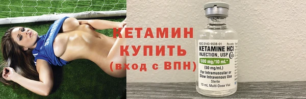 прущие грибы Вязьма