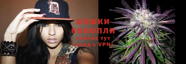 марки lsd Вяземский