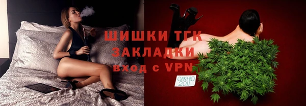 прущие грибы Вязьма