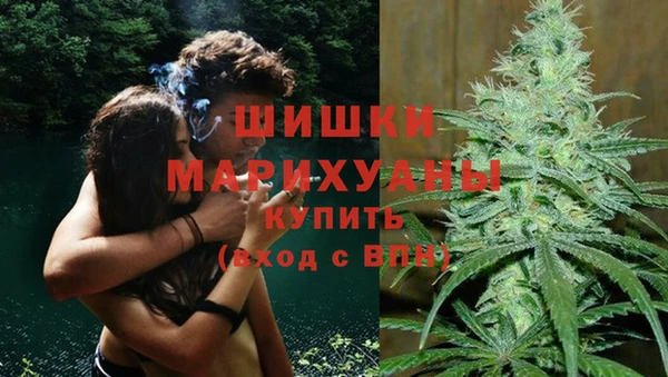 прущие грибы Вязьма