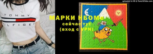 прущие грибы Вязьма