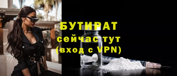 прущие грибы Вязьма