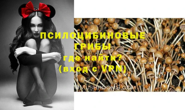 марки lsd Вяземский