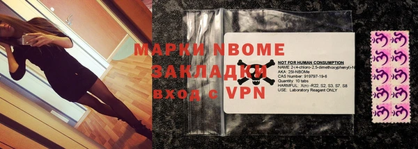 прущие грибы Вязьма