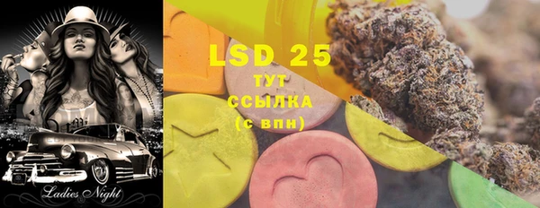 прущие грибы Вязьма