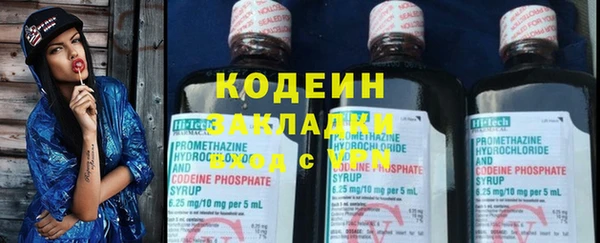 прущие грибы Вязьма