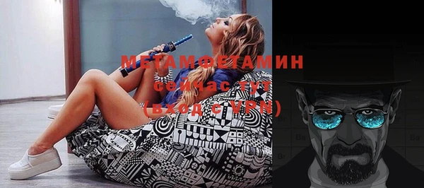 прущие грибы Вязьма