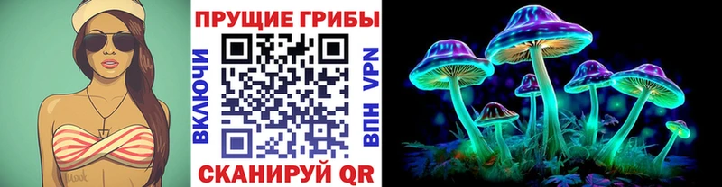 где найти   Черемхово  Галлюциногенные грибы мухоморы 